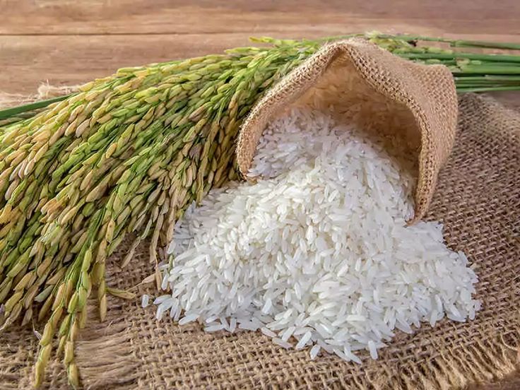 Tamila Agrifood; Trusted Rice Supplier for UN Food Tenders and Humanitarian Projects